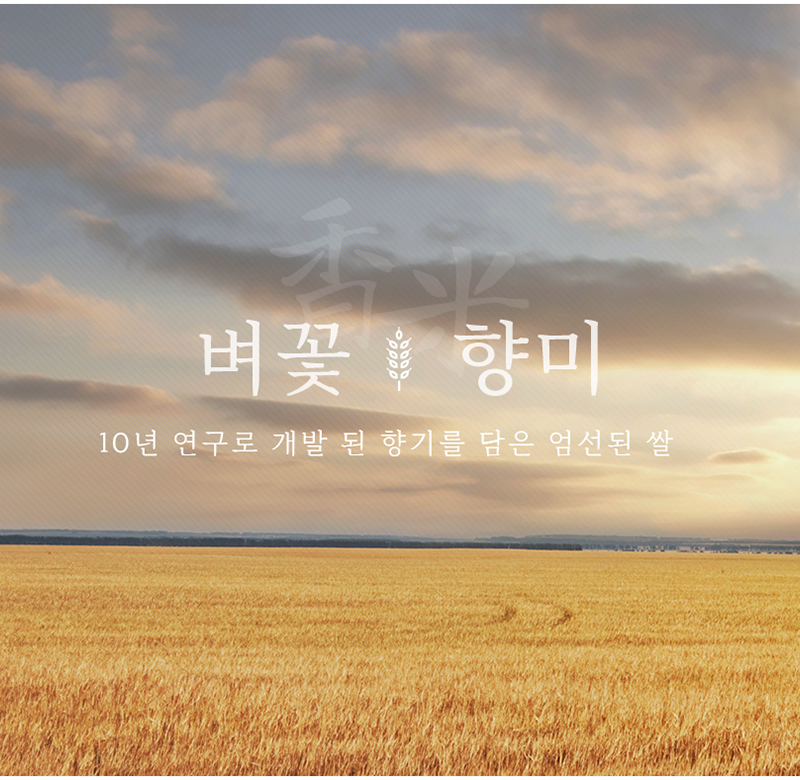 모바일이미지